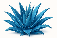 Aloe Barbadensis Extract
