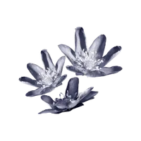 Retinol