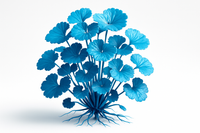 Centella Asiatica Extract 